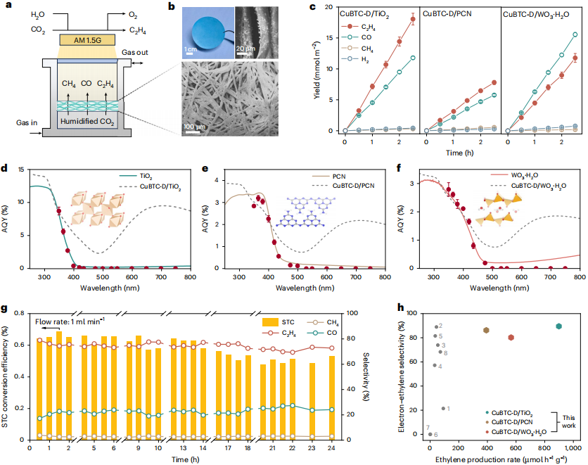 清华大学朱永法/郭燕,新发Nature Catalysis!