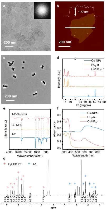 北京大学蓝光旭/张亚文，最新JACS！