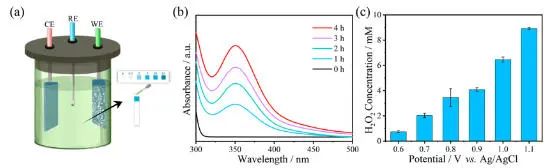 江苏大学/南开大学JACS：电极上气泡起大作用，实现无催化剂H2O2合成