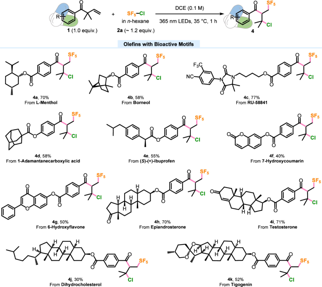JACS：内蒙古大学郭硕/上海有机所薛小松/四川大学章炜：1,2-羰基迁移策略高效构建β-五氟硫基酮—开启新型含氟药物研发新可能