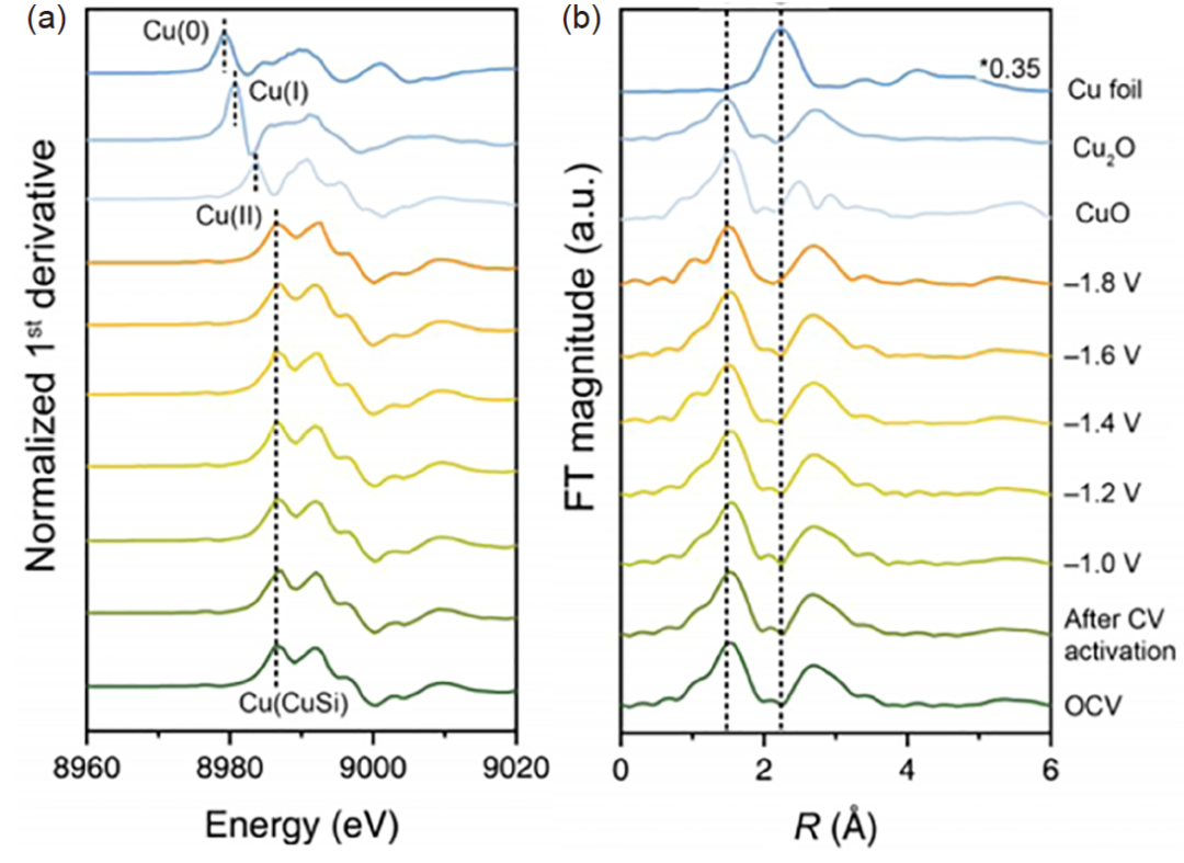 同步辐射XAFS技术解读：催化原位表征-OER、HER、ORR、CO2RR、CO氧化、CO2加氢等！