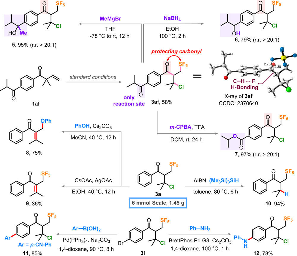 JACS：内蒙古大学郭硕/上海有机所薛小松/四川大学章炜：1,2-羰基迁移策略高效构建β-五氟硫基酮—开启新型含氟药物研发新可能