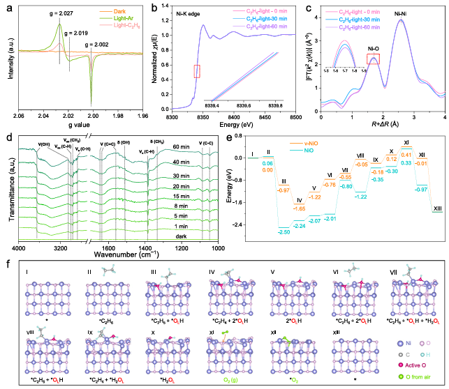 100%！福大汪思波&KAUST张华彬，新发Nature子刊： NiO-300光催化乙烷制乙烯