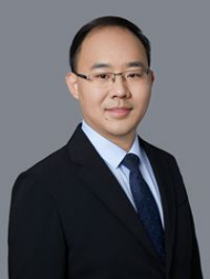 吴锋院士领衔！北理陈人杰/赵腾AFM：基于隔膜离子通量调控涂层的设计与应用