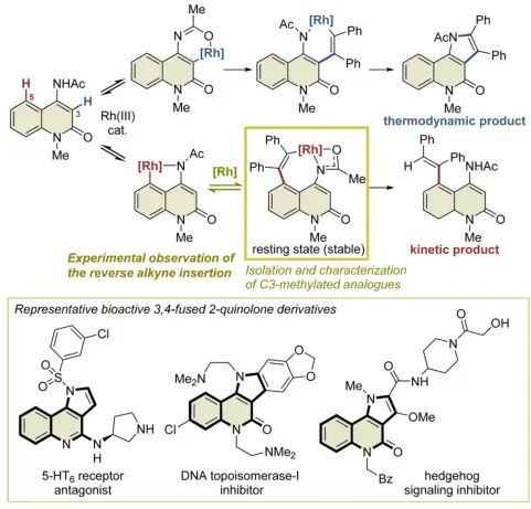 催化中的热力学与动力学：反应平衡与速率的科学解析