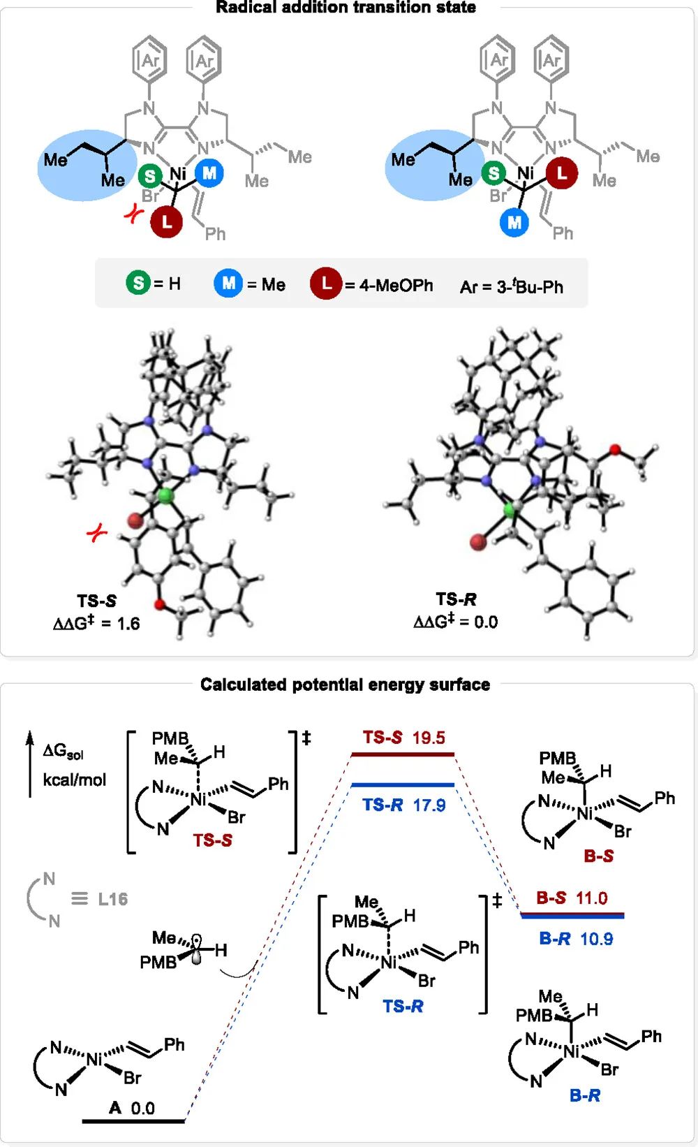 兰州大学，最新JACS！