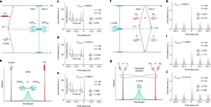 中山大学，最新重磅Nature！