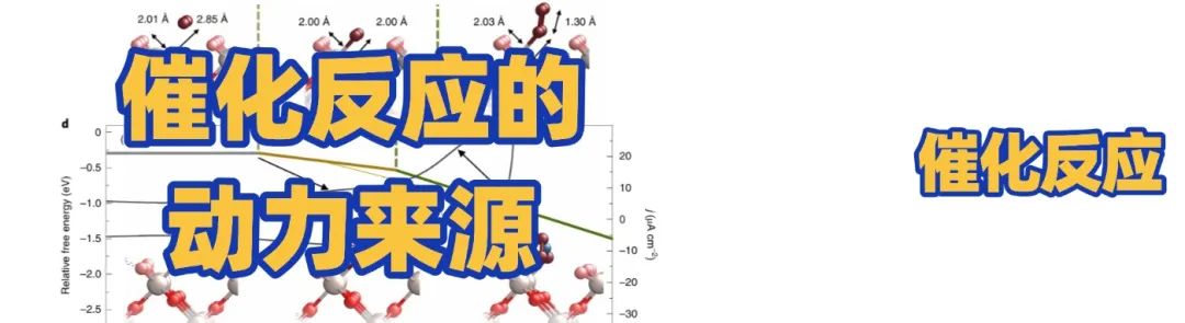 催化反应的动力来源有哪些？