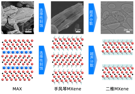 表面官能团对MXene性能的影响 | -OH/-F/-O基团调控机制解析