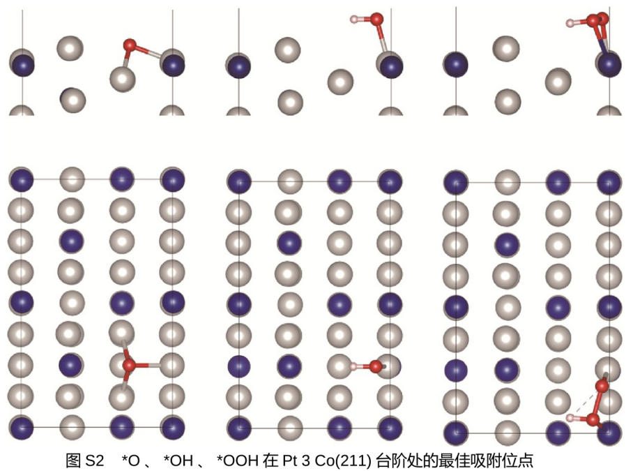 ​​如何选择吸附位点？——从理论到实践的科学解析​