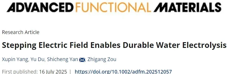 南京大学闫世成，最新AFM！