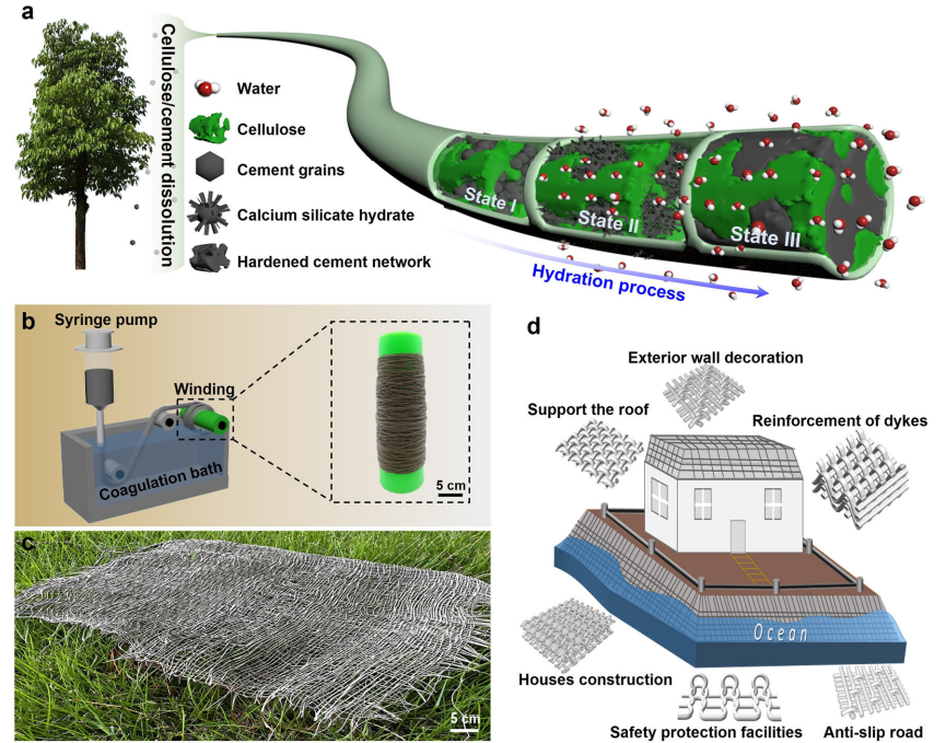 徐卫林院士领衔！武汉纺织大学王金凤/张晓芳，最新Nature子刊！