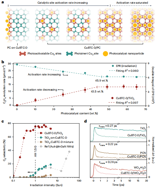 清华大学朱永法/郭燕,新发Nature Catalysis!
