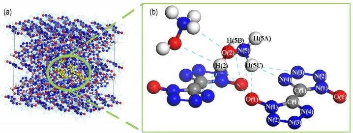 氢键统计揭示分子奥秘：蛋白质折叠稳定性与药物结合能的动态网络分析