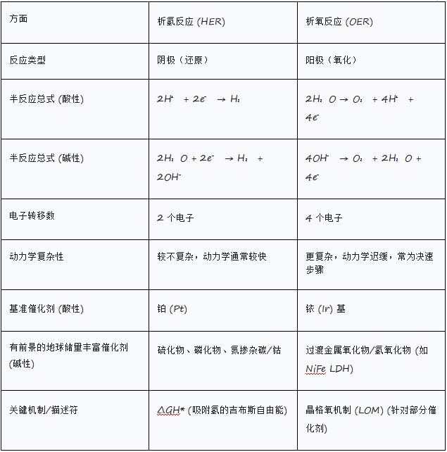 高效电催化剂的设计策略及其在能源转换与存储中的最新进展