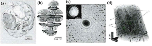 第四代光源的突破：空间相干度测量与衍射成像技术