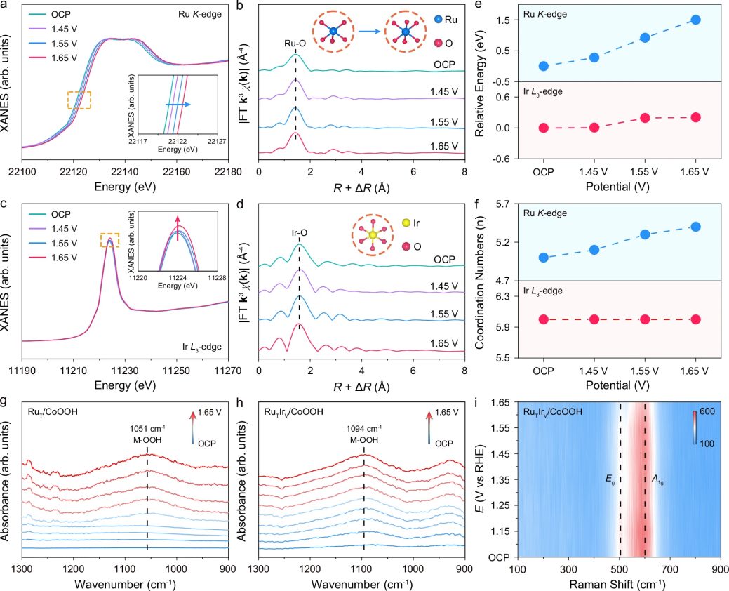 如何解析活性位点？