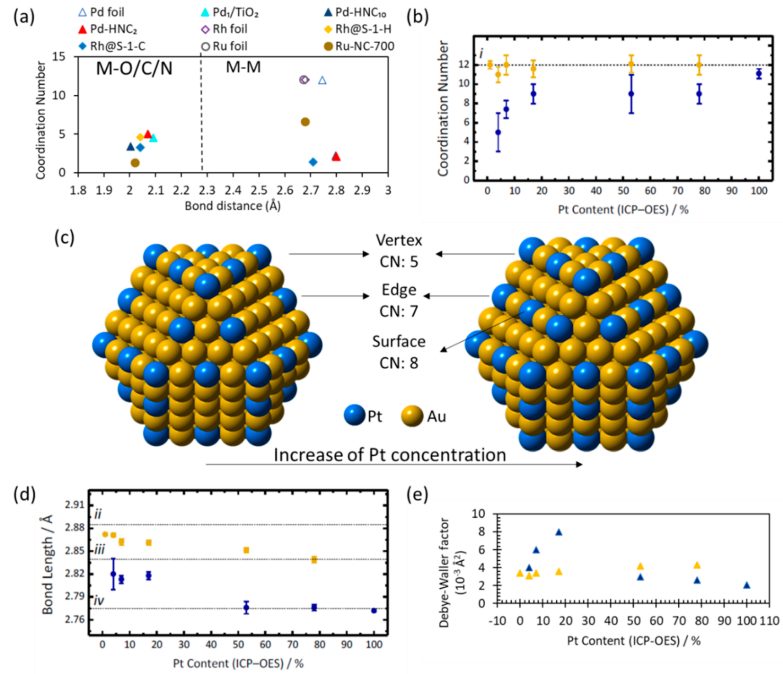如何解析活性位点？