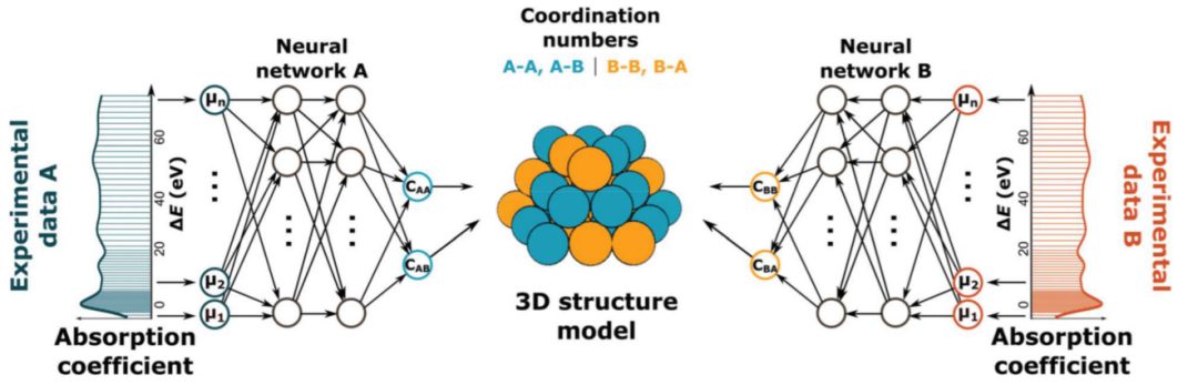 如何解析活性位点？