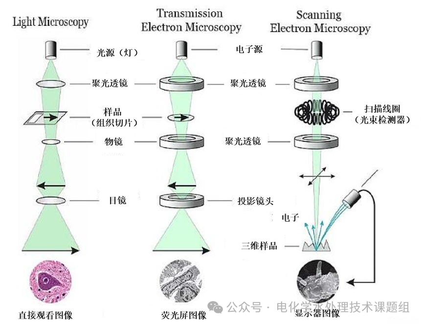 全是干货！手把手教你电极材料TEM表征