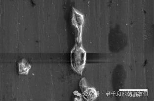 扫描电镜（SEM）操作指南：如何获得高质量的SEM图片