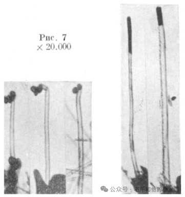 碳材料TEM研究全历程：从早期晶格成像到原子级解析，见证石墨、石墨烯的科学突破
