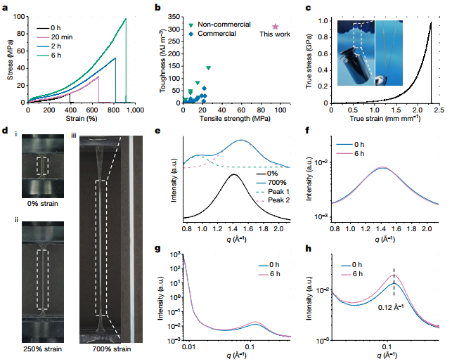 SAXS顶刊案例分析—Nature,631,783–788 (2024)：3D打印弹性体