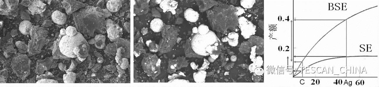 扫描电子显微镜（SEM）像衬度形成原理：从信号机制到实际应用