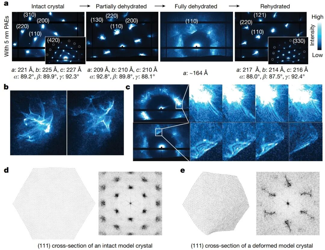 看顶刊如何用SAXS—Nature 610, 674–679 (2022)：胶体晶