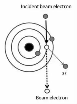 扫描电子显微镜（SEM）基础原理：工作方式、电子-样品相互作用信号解析