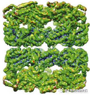 冷冻电镜单颗粒分析（SPA）技术指南：从样品制备到三维重构，解锁生物大分子高分辨率结构