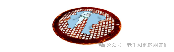 冷冻电镜断层成像（Cryo-ET）技术解读：技术原理、优劣分析、样品制备、数据采集及图像解读