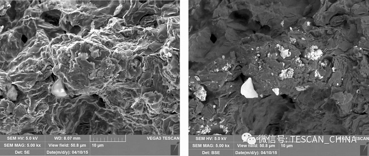 扫描电子显微镜（SEM）像衬度形成原理：从信号机制到实际应用