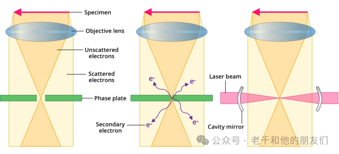 冷冻电镜断层成像（Cryo-ET）技术解读：技术原理、优劣分析、样品制备、数据采集及图像解读