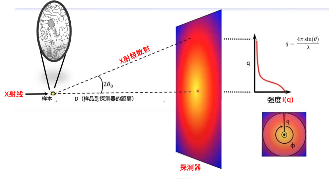 终于有人说清楚“X光小角散射”（SAXS）！