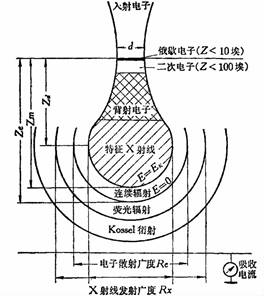 扫描电子显微镜（SEM）基础原理：工作方式、电子-样品相互作用信号解析