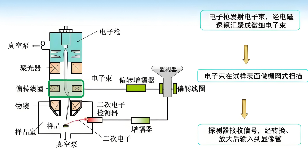 聚焦离子束-扫描电镜（FIB-SEM）分析技术与附件应用