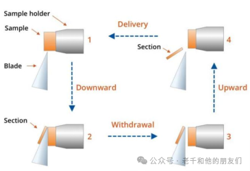 透射电镜（TEM）样品制备方法解读——掌握有机/无机材料制样核心技术（FIB/超薄切片/离子减薄）与实操要点