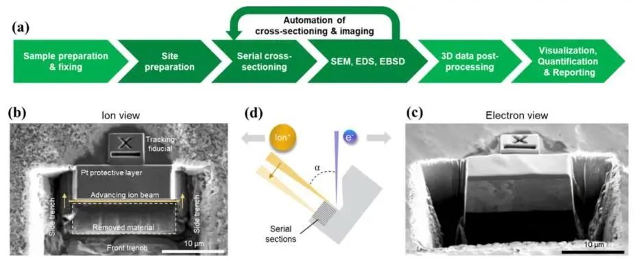FIB-SEM: 二维成像、三维断层扫描与TEM薄片制备