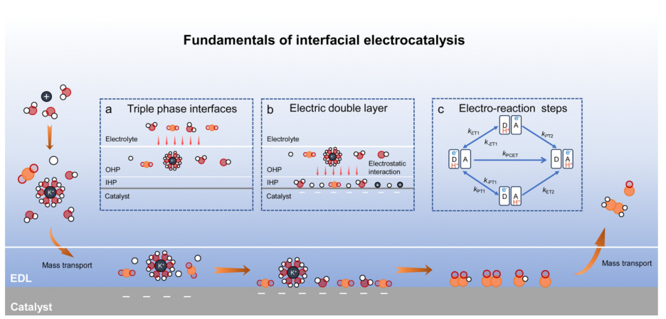 优化电催化效率：局部微环境的界面调控策略与HER/ORR/CRR应用