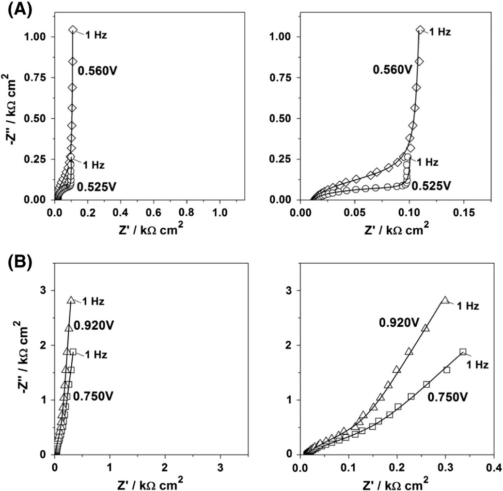 什么是界面双电层？电催化表征体系的系统梳理与关键参数解析