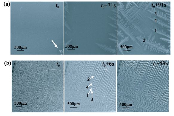 同步辐射成像技术在材料科学中的应用——金属合金晶体生长原位可视化