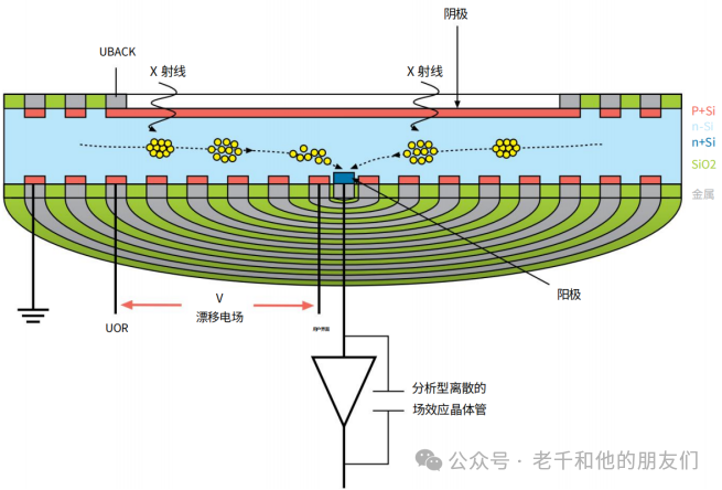 微束分析与 EDS 技术详解：从 X 射线产生到谱图解析