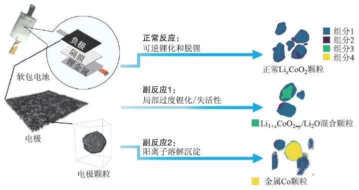 同步辐射纳米成像技术的发展与应用