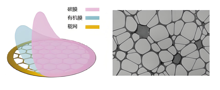 纳米材料研究必备！TEM 观察粉末样品的两大核心方法及实用技巧