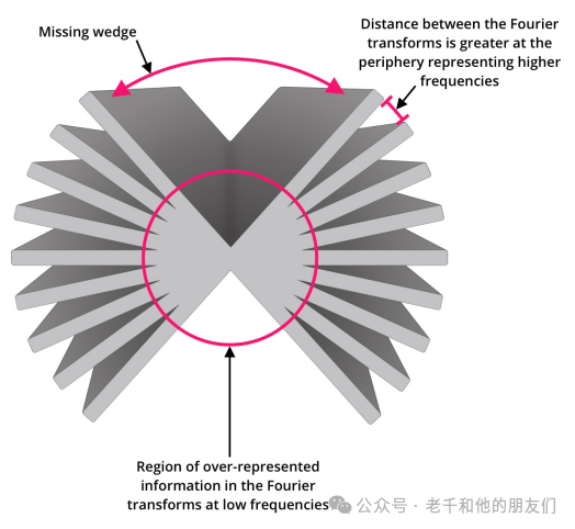 冷冻电镜断层成像（Cryo-ET）技术解读：技术原理、优劣分析、样品制备、数据采集及图像解读