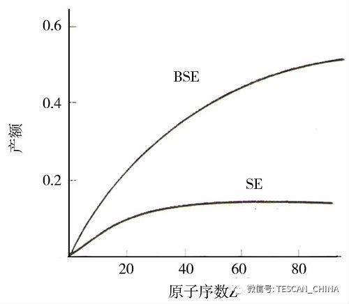 扫描电子显微镜（SEM）像衬度形成原理：从信号机制到实际应用