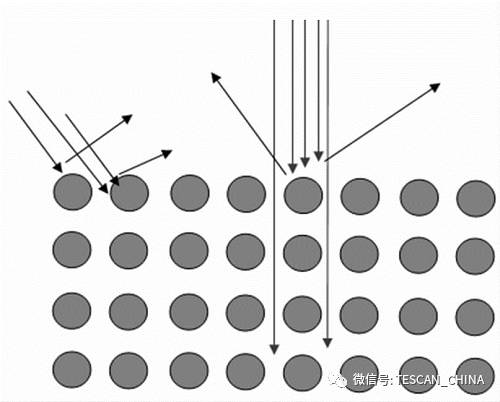 扫描电子显微镜（SEM）像衬度形成原理：从信号机制到实际应用