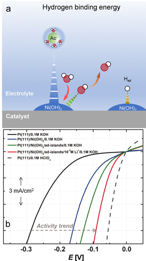 优化电催化效率：局部微环境的界面调控策略与HER/ORR/CRR应用