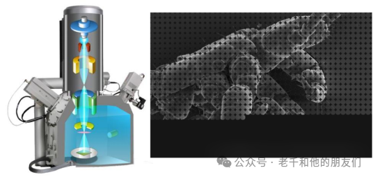 扫描电镜（SEM）技术全解析：成像原理、核心结构、信号采集与应用指南